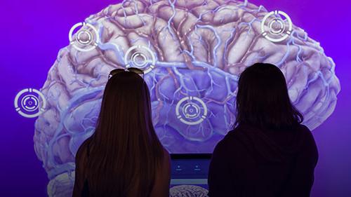 silhouette of two students in front of a projected image of a brain